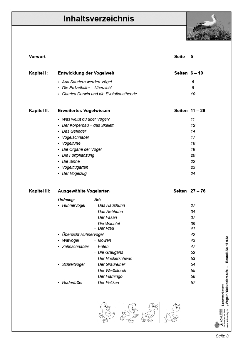 Lernwerkstatt Vögel / SEK Lernwerkstatt Vögel / SEK