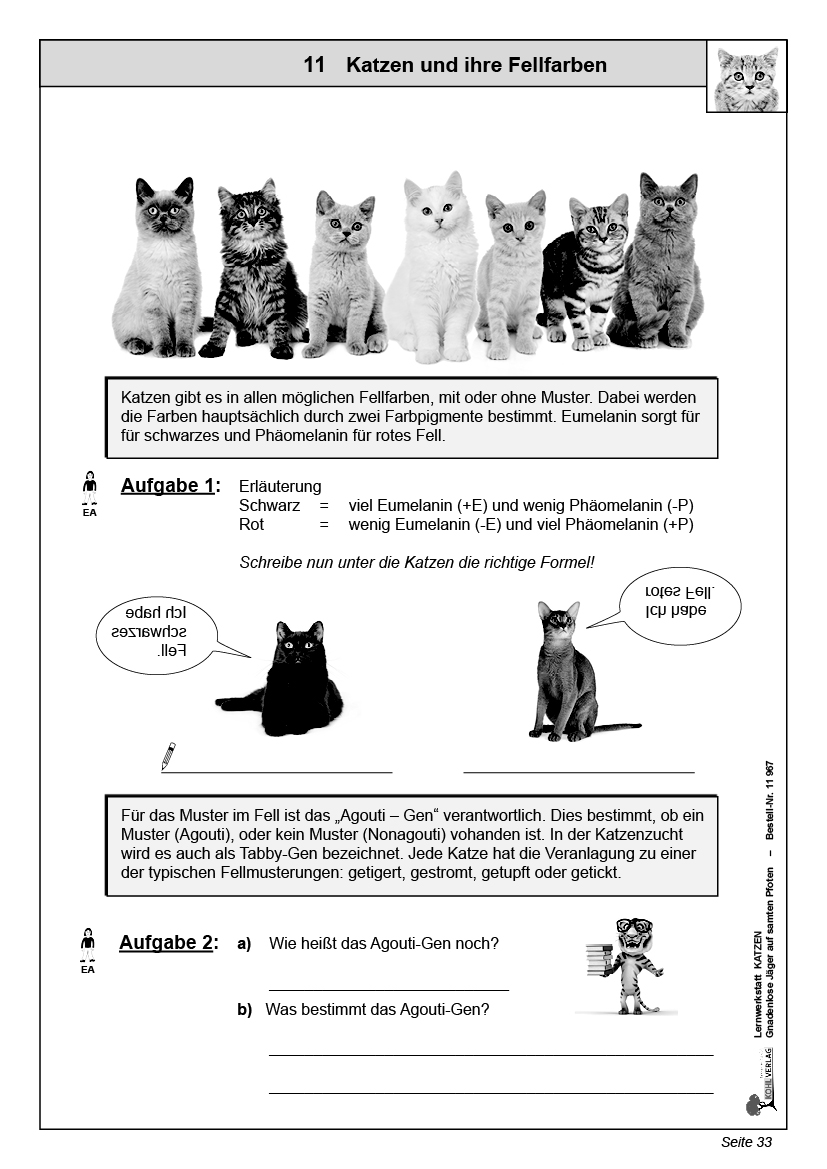 Lernwerkstatt Katzen