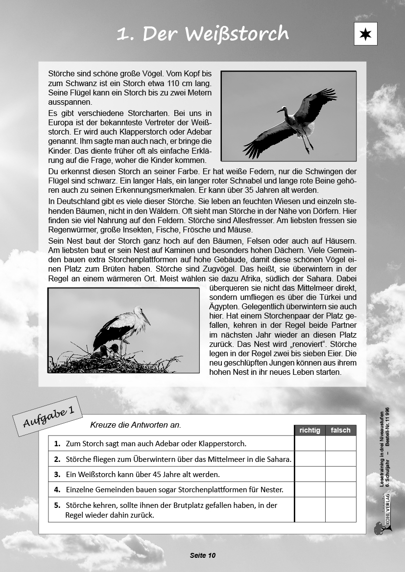 Lesetraining in drei Niveaustufen / Klasse 6