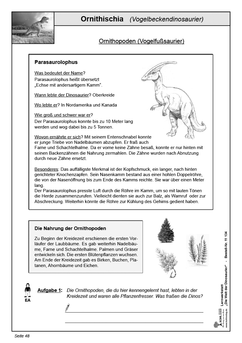 Lernwerkstatt Die Welt der Dinosaurier