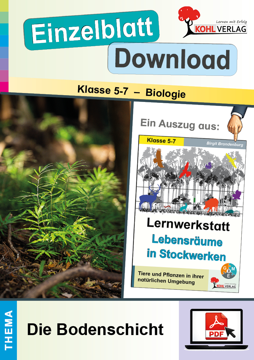 Lernwerkstatt Lebensräume in Stockwerken / Die Bodenschicht