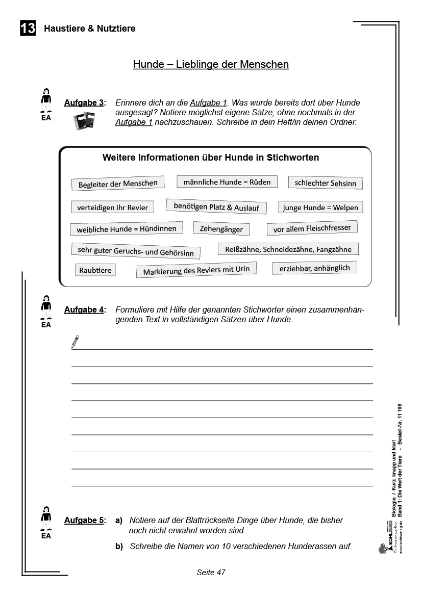 Biologie - Grundwissen kurz, knapp und klar I