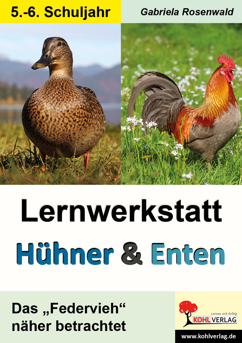 Lernwerkstatt Hühner & Enten / Sekundarstufe