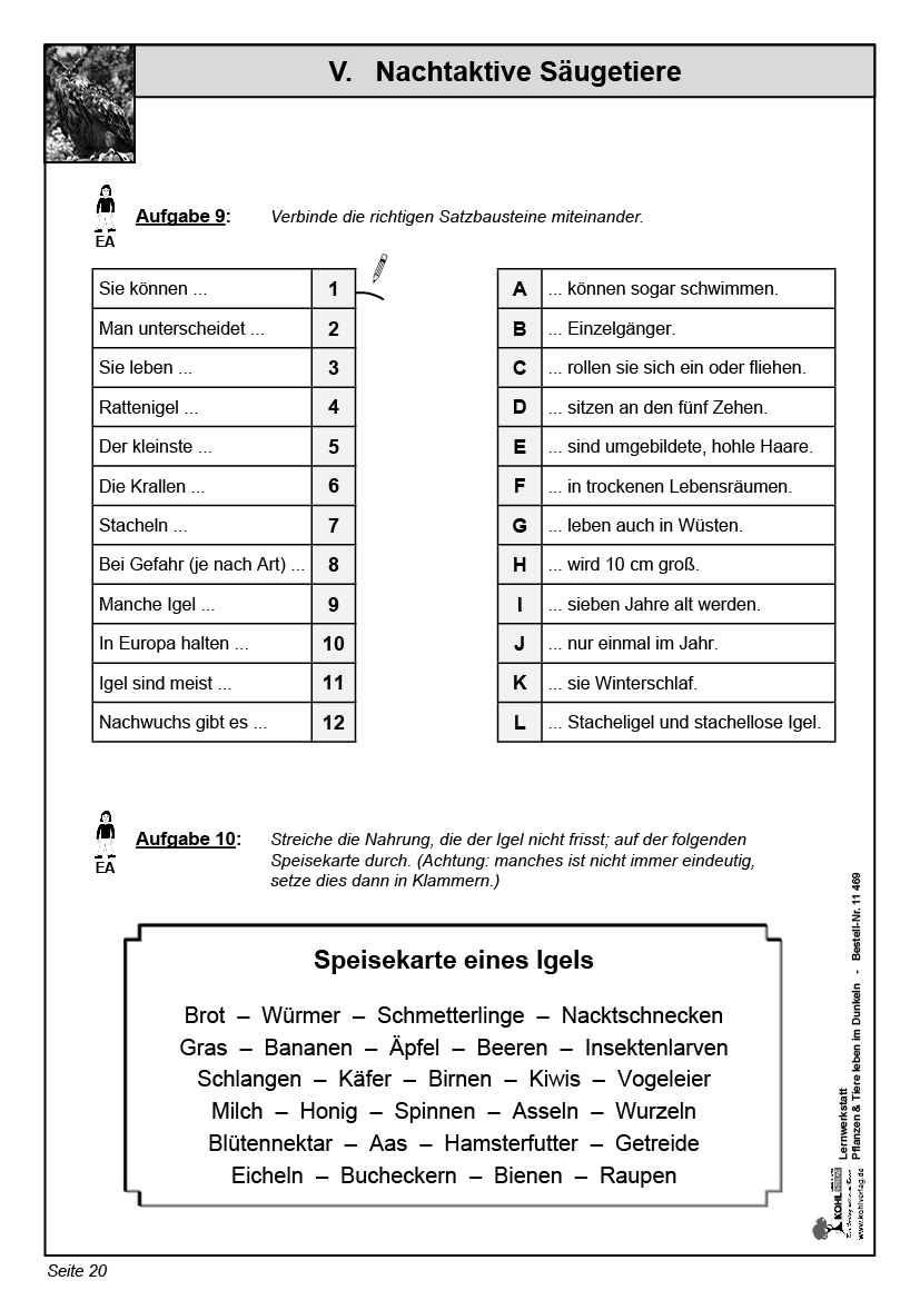 Lernwerkstatt Nachtaktive Pflanzen und Tiere