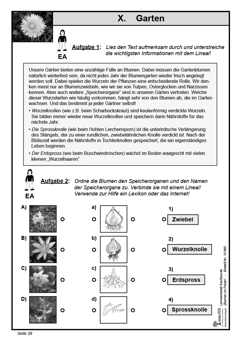 Lernwerkstatt Blumen im Freien