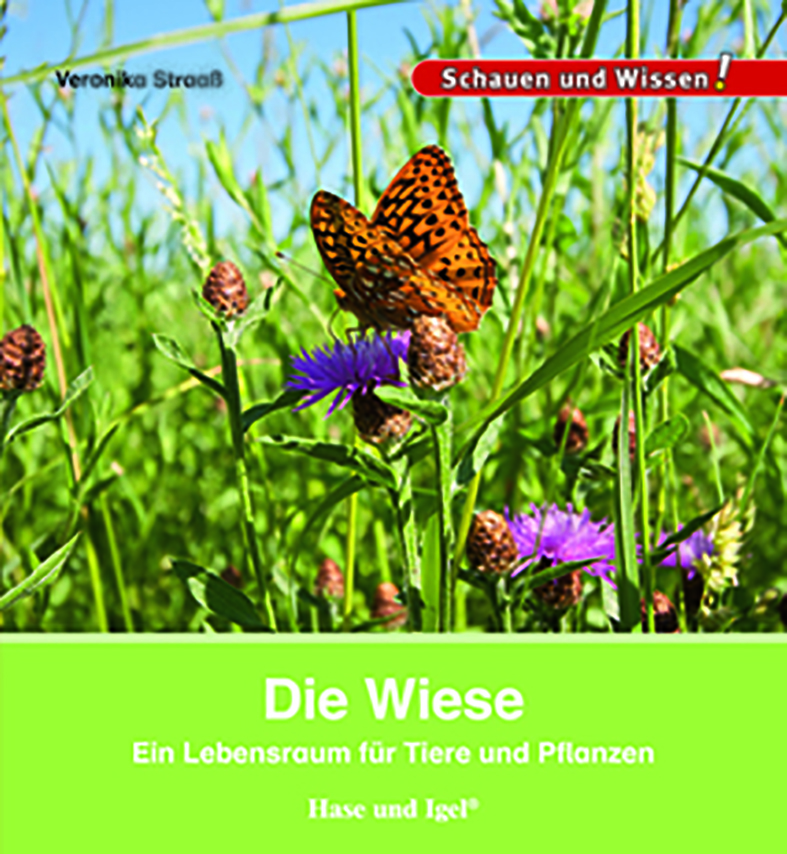 Die Wiese