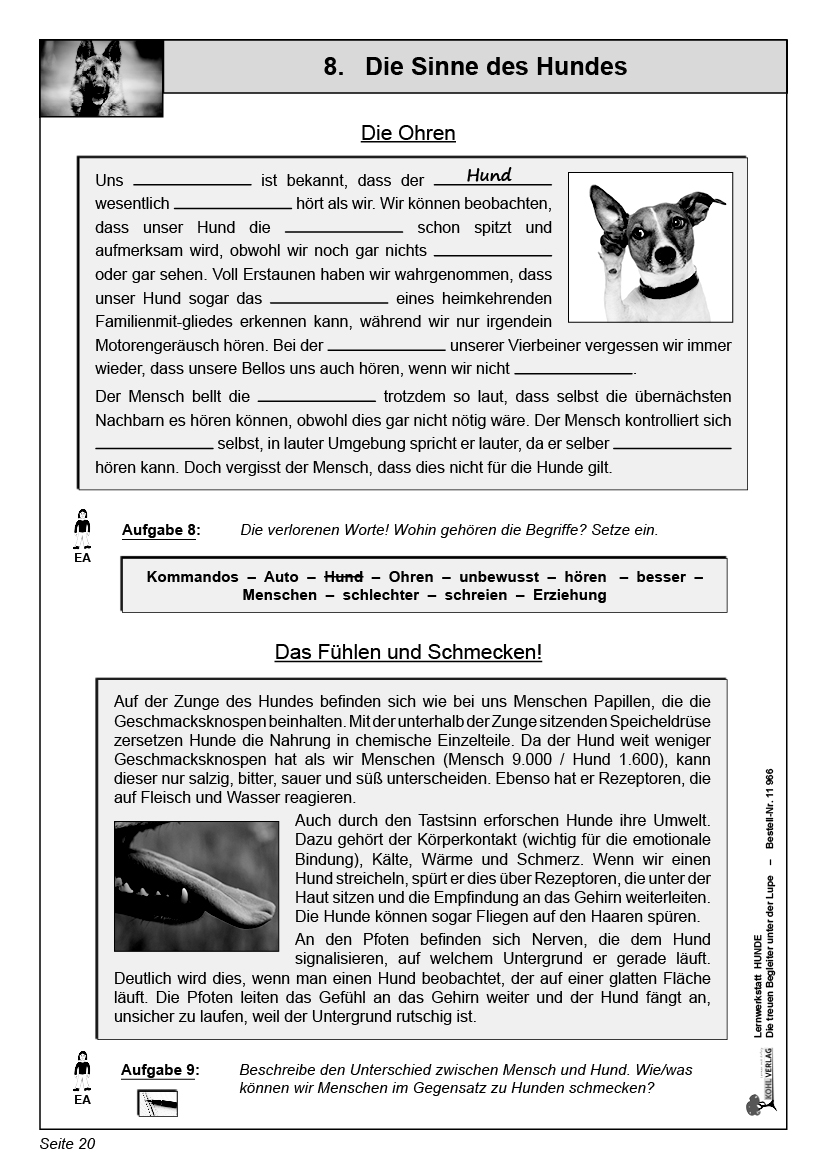 Lernwerkstatt Hunde Lernwerkstatt Hunde