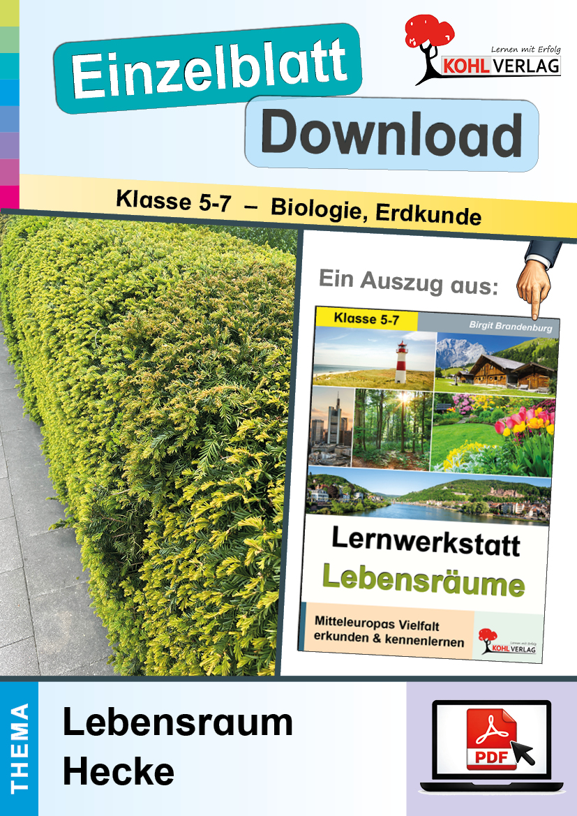 Lernwerkstatt Lebensräume: Lebensraum Hecke
