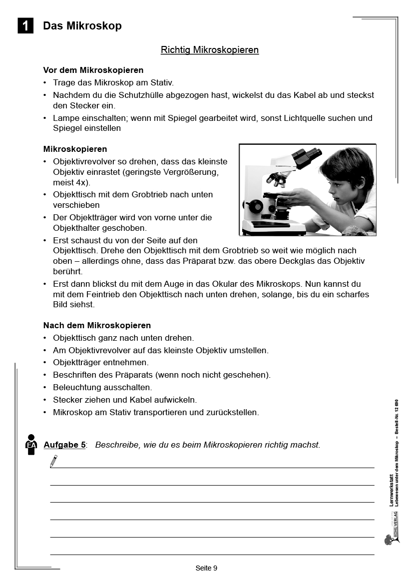 Lernwerkstatt Lebewesen unter dem Mikroskop / Klasse 3-4