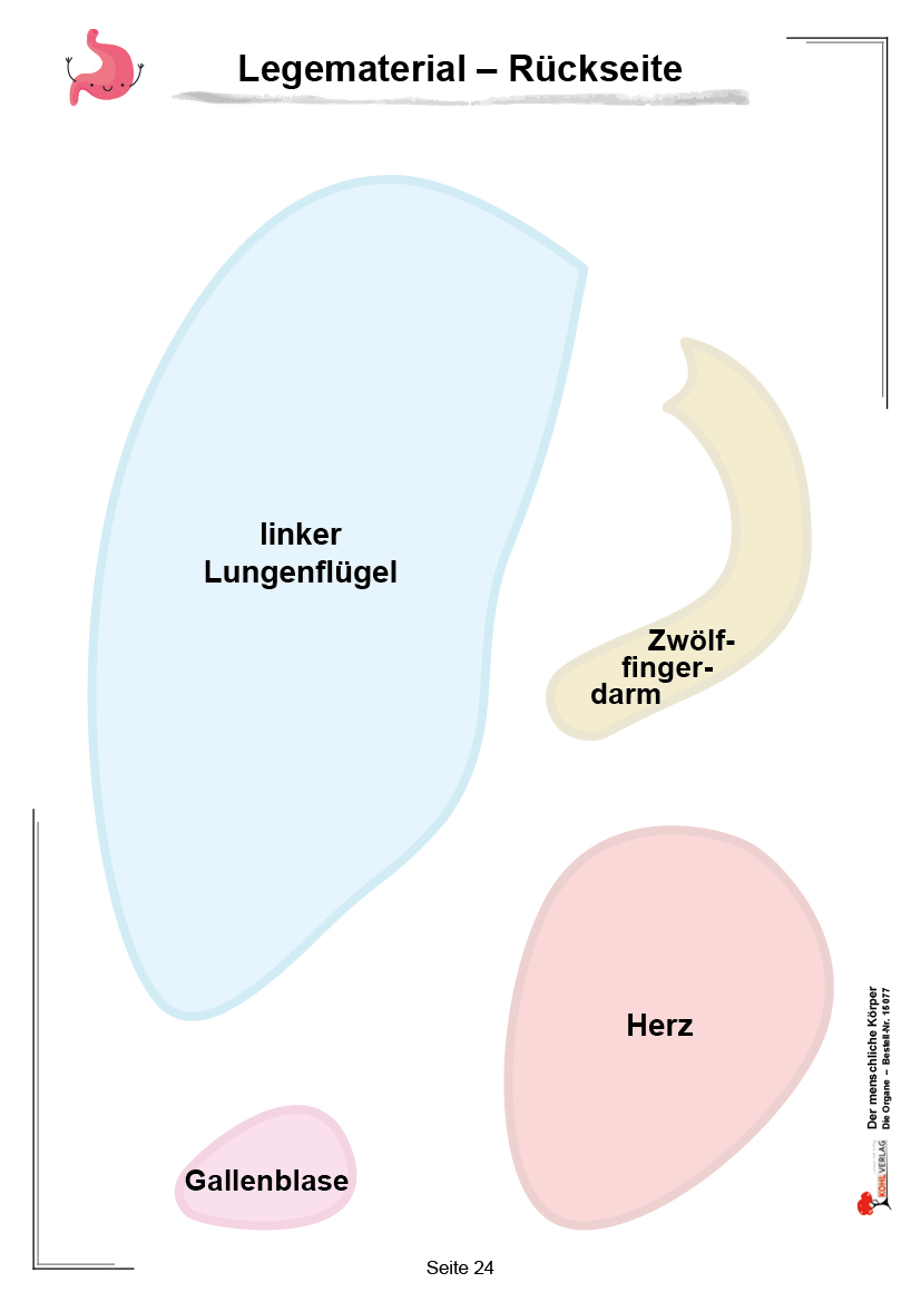 Der menschliche Körper / Band 1: Die Organe