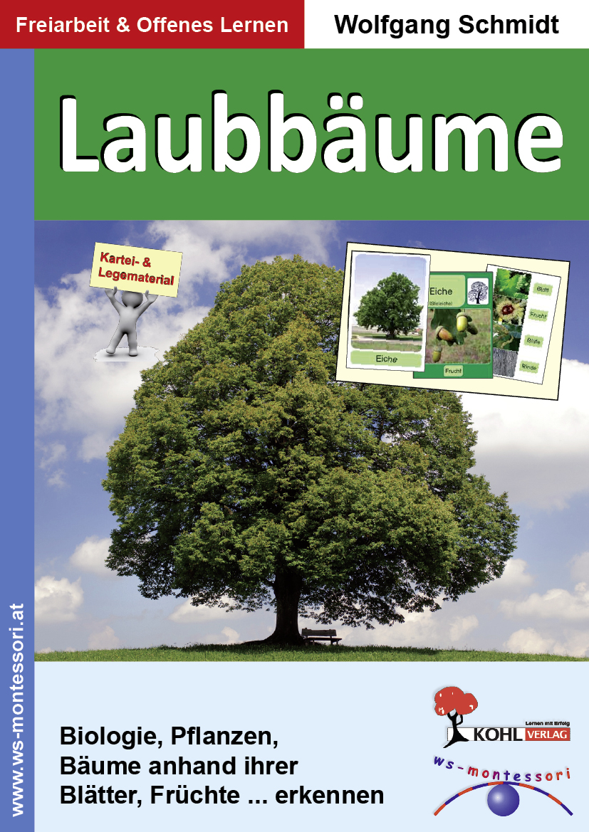 Laubbäume Laubbäume