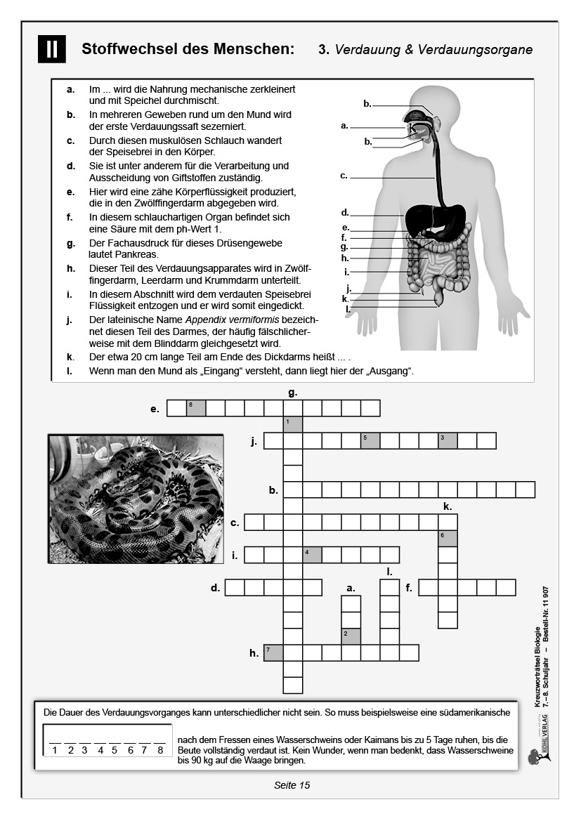 Kreuzworträtsel Biologie / Klasse 7-8