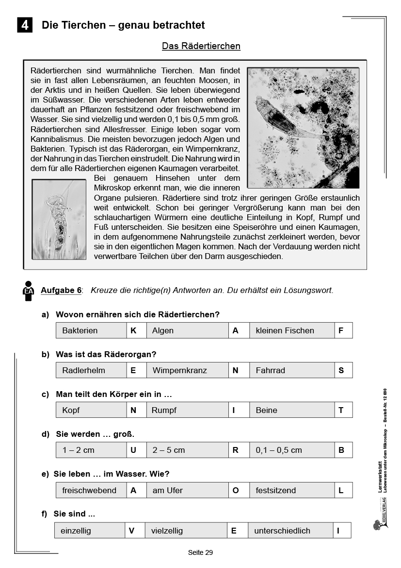 Lernwerkstatt Lebewesen unter dem Mikroskop / Klasse 3-4