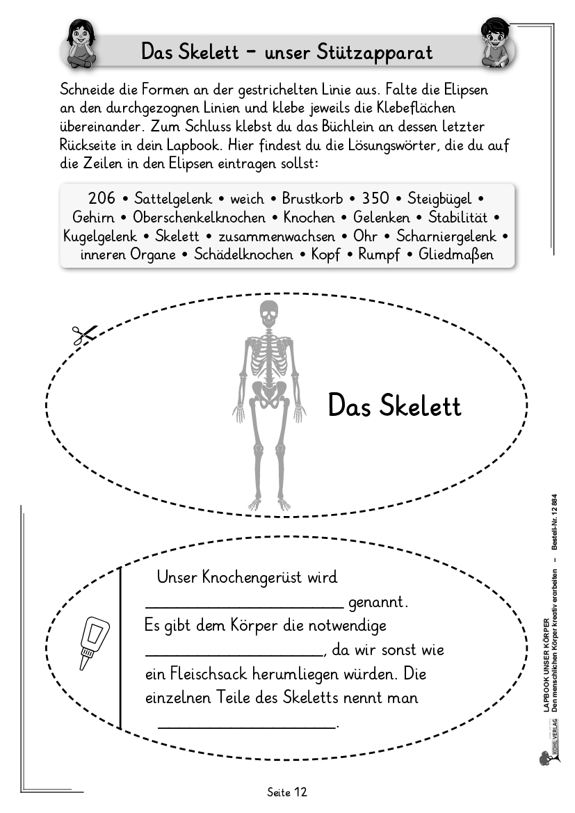 Lapbook Unser Körper