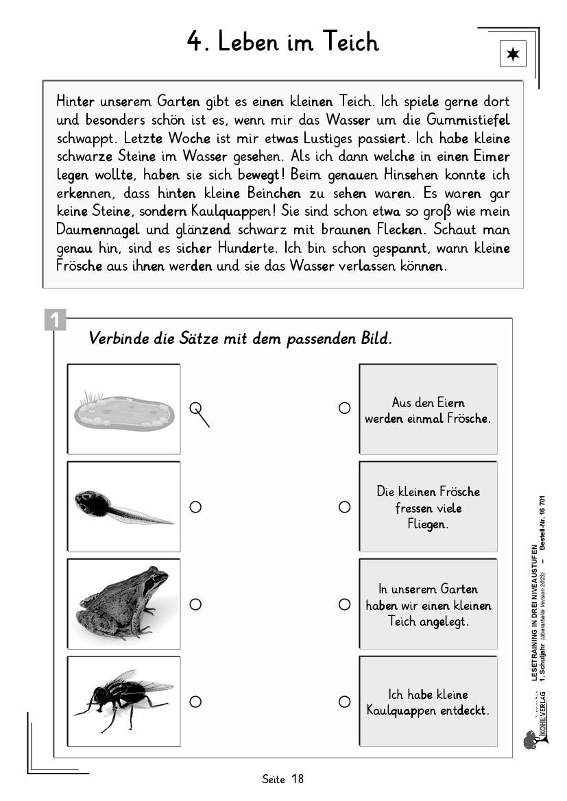 Lesetraining in drei Niveaustufen / Klasse 1