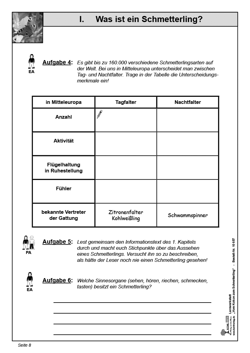 Lernwerkstatt Vom Kokon zum Schmetterling