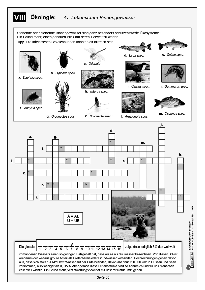 Kreuzworträtsel Biologie / Klasse 9-10