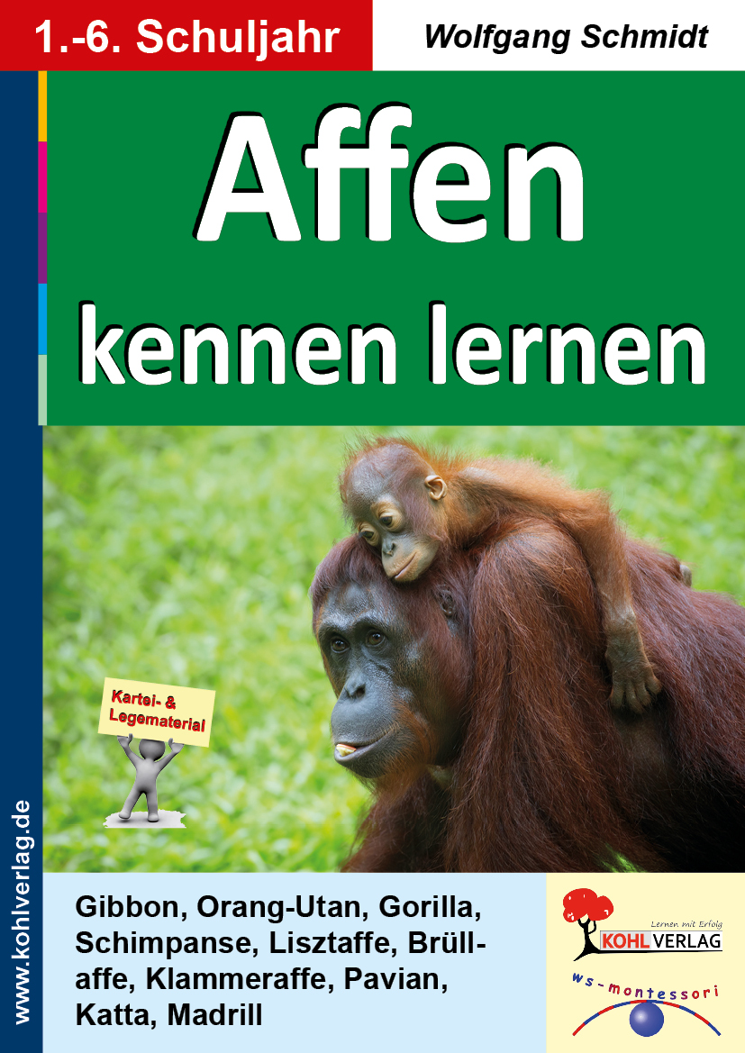 Affen ... kennen lernen