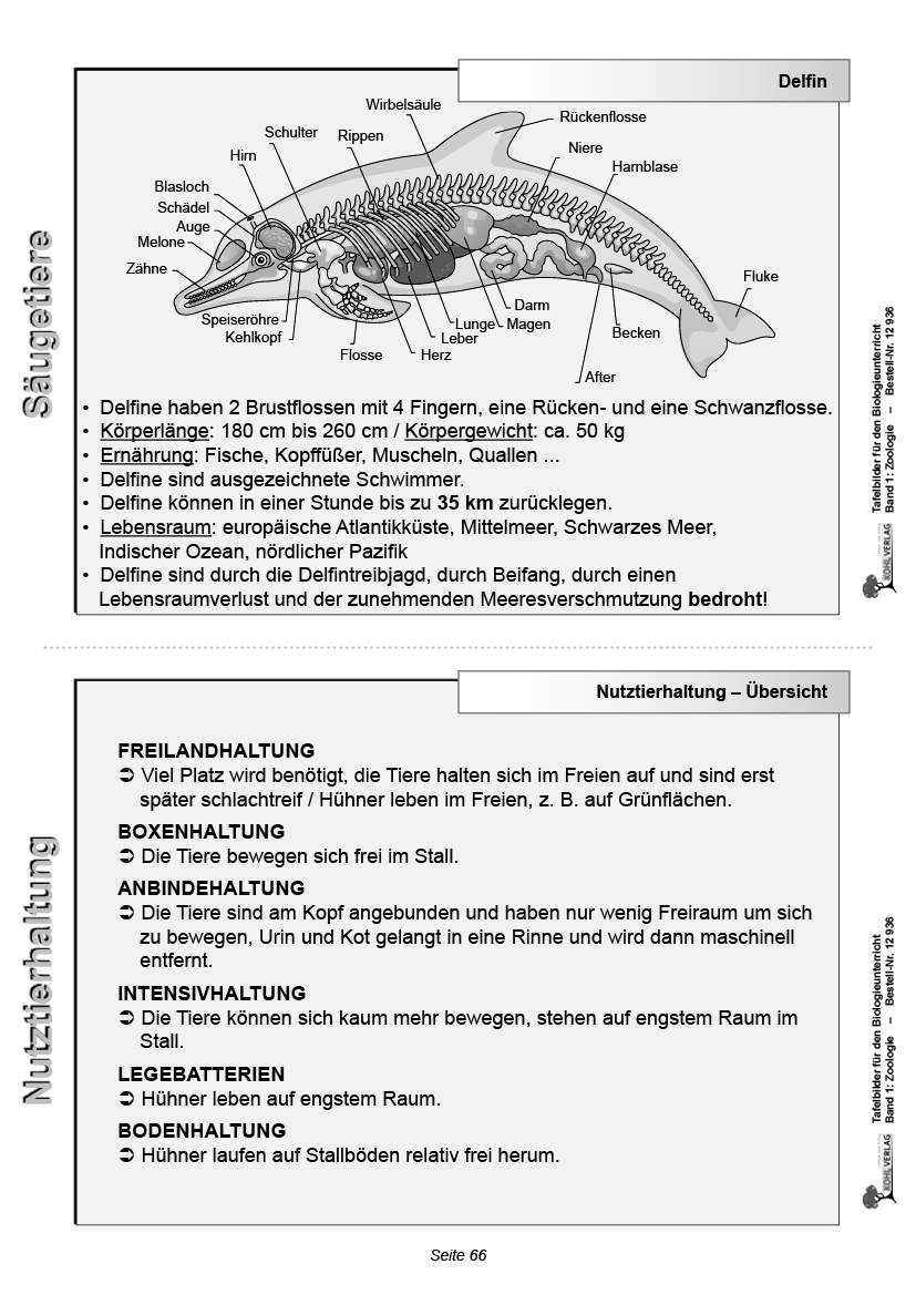 Tafelbilder Zoologie