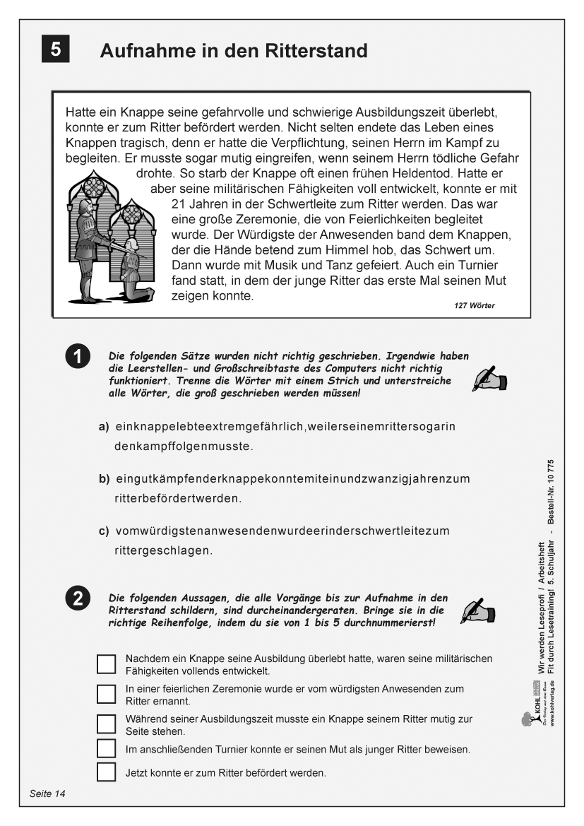 Wir werden Leseprofi - Arbeitsheft / Klasse 5