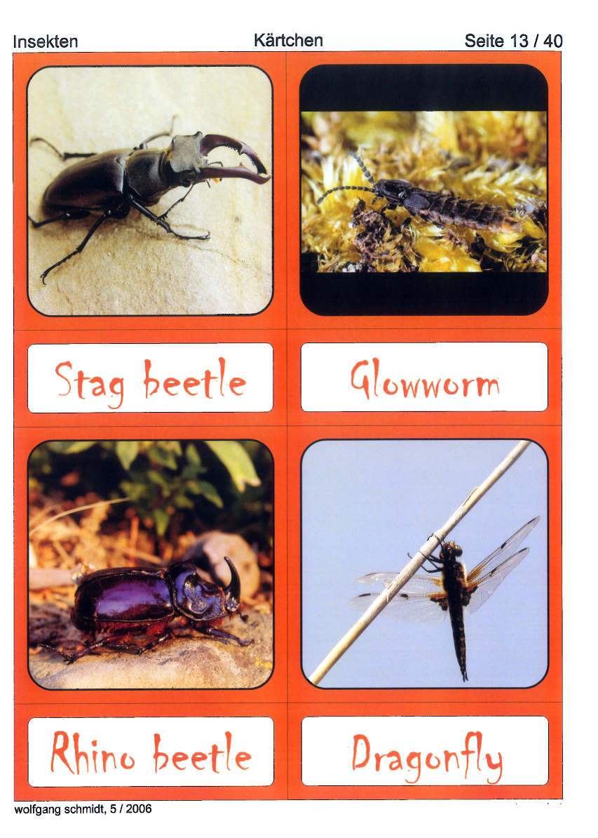 Insekten Insekten