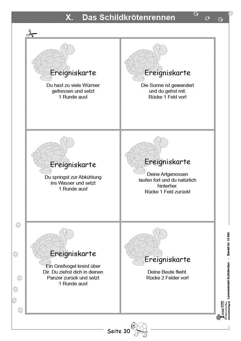 Lernwerkstatt Schildkröten Lernwerkstatt Schildkröten