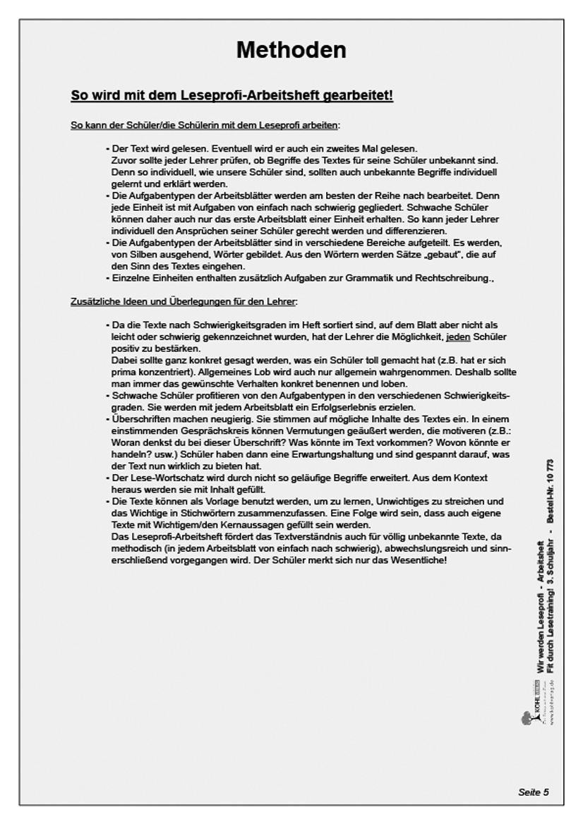 Wir werden Leseprofi - Arbeitsheft / Klasse 3