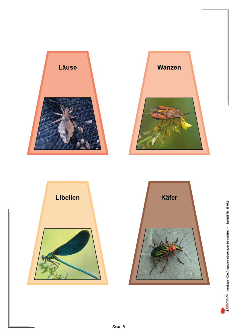 Insekten Insekten