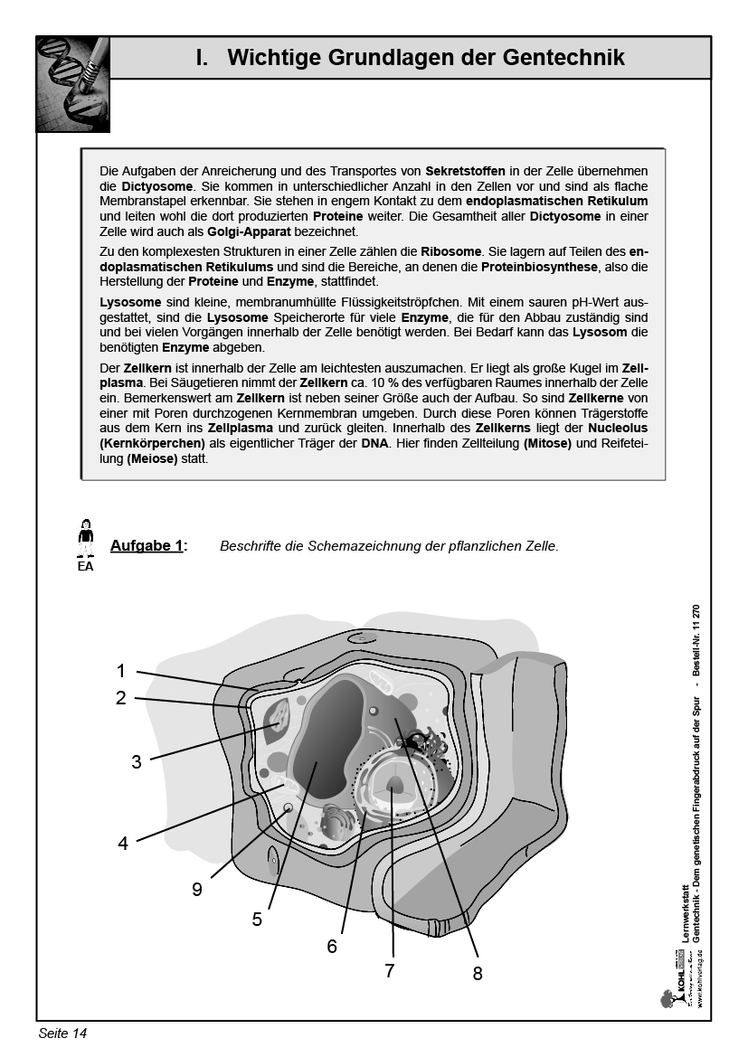 Lernwerkstatt Gentechnik