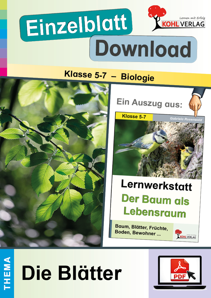 Lernwerkstatt Der Baum als Lebensraum / Die Blätter