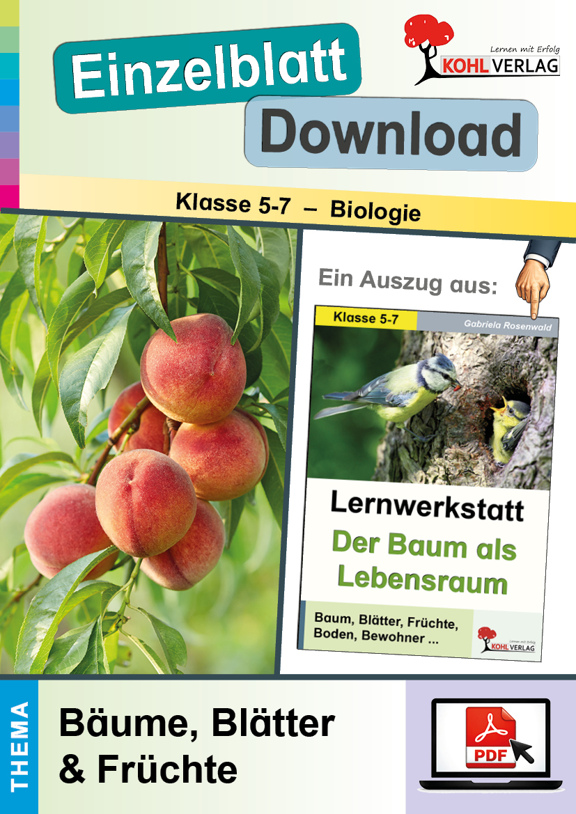 Lernwerkstatt Der Baum als Lebensraum / Bäume, Blätter, Früchte