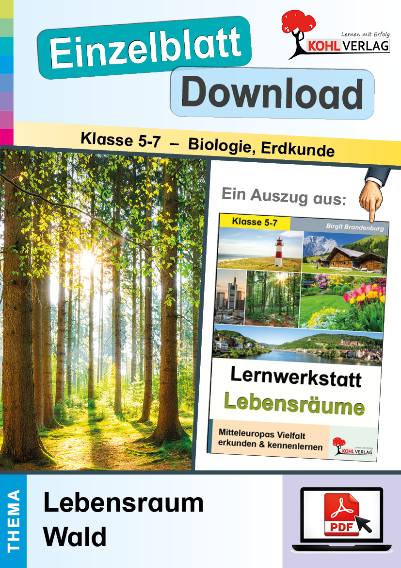 Lernwerkstatt Lebensräume: Lebensraum Wald