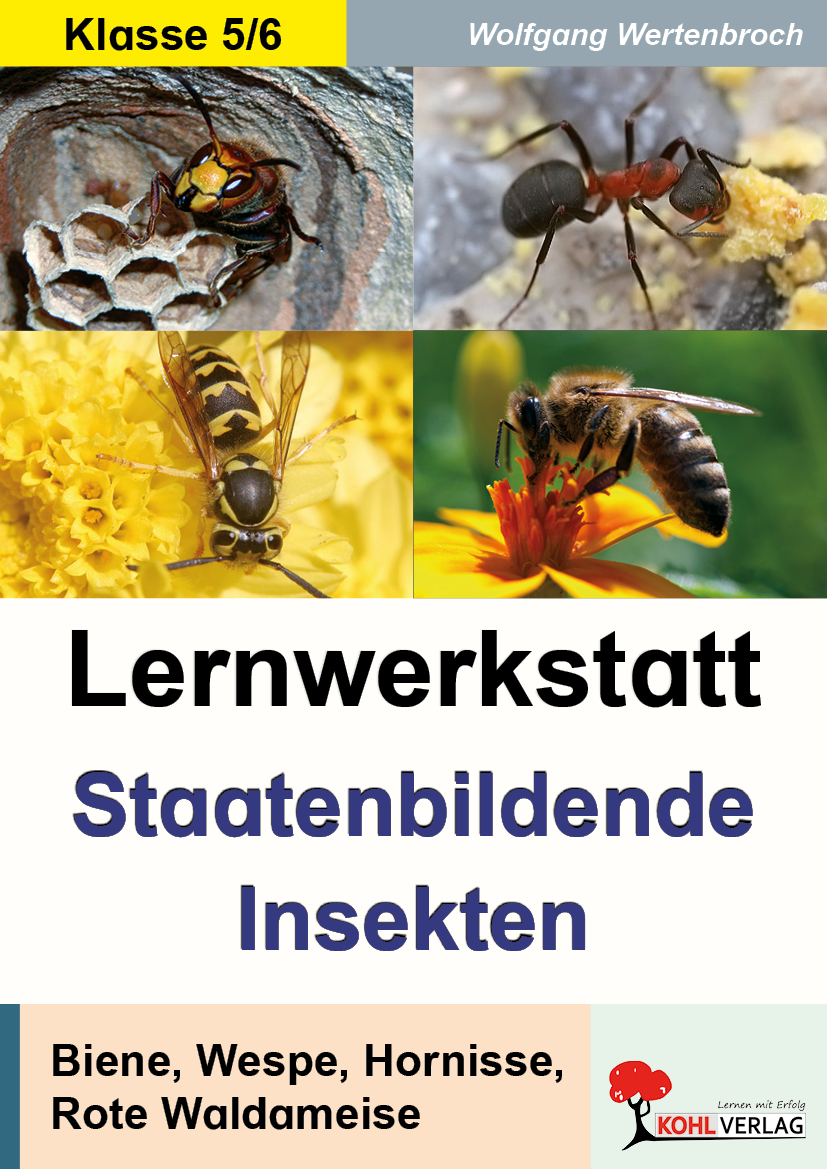 Lernwerkstatt Staatenbildende Insekten Lernwerkstatt Staatenbildende Insekten