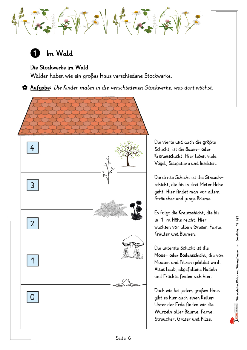 Wir entdecken Wald- und Wiesenpflanzen