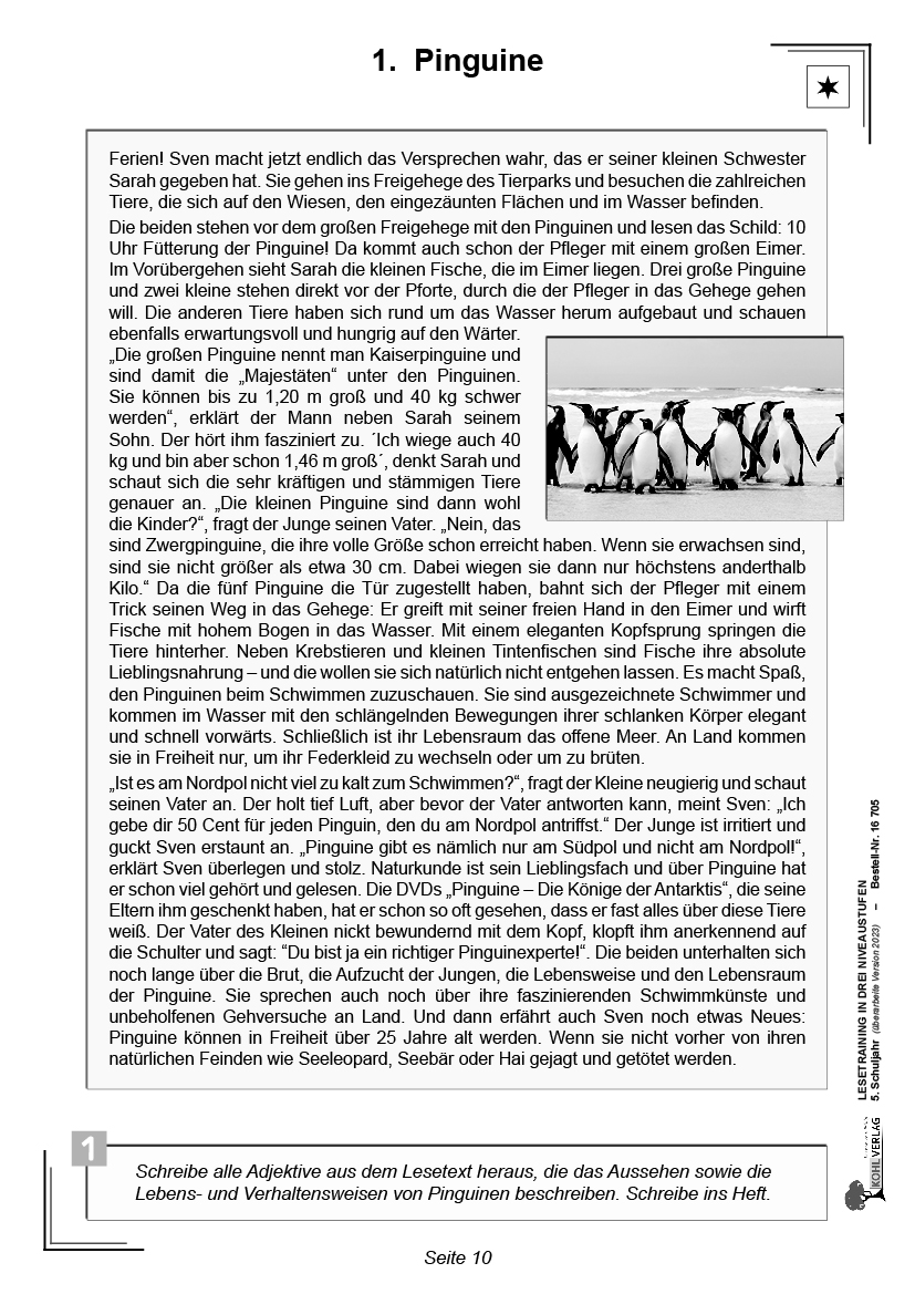Lesetraining in drei Niveaustufen / Klasse 5