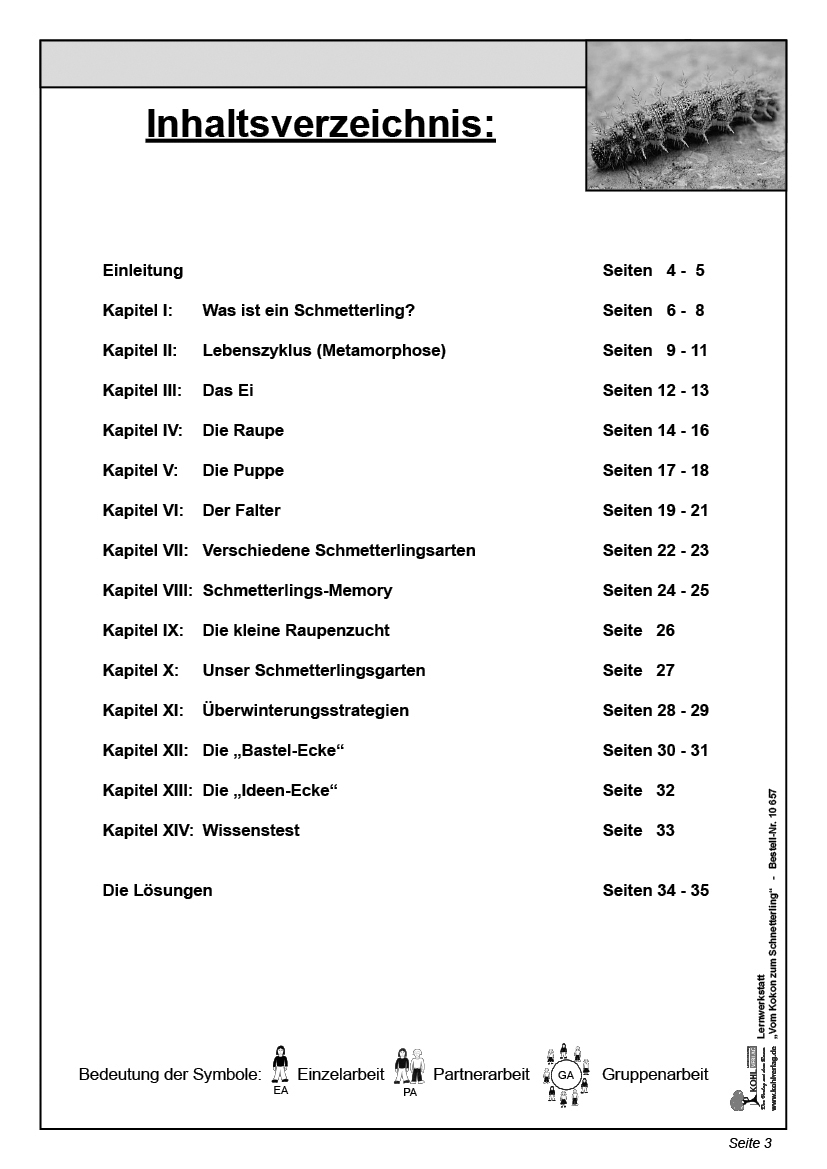 Lernwerkstatt Vom Kokon zum Schmetterling