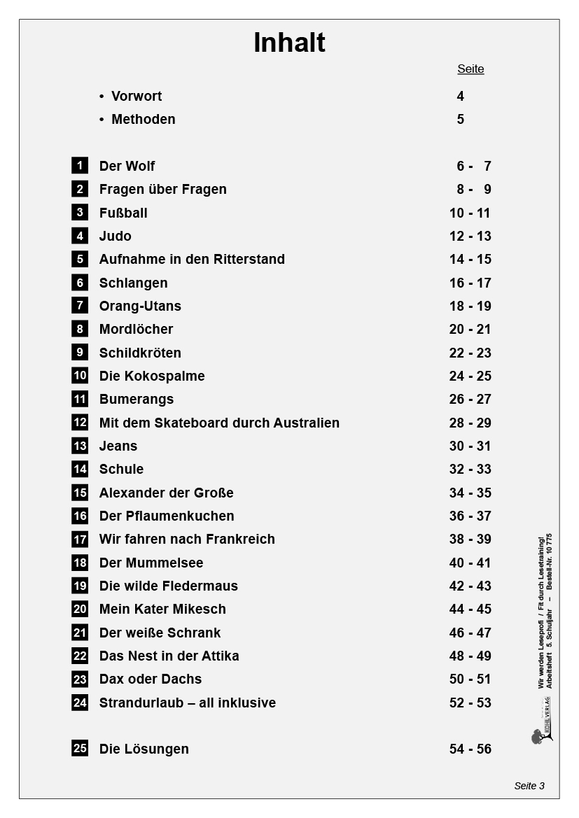 Wir werden Leseprofi - Arbeitsheft / Klasse 5