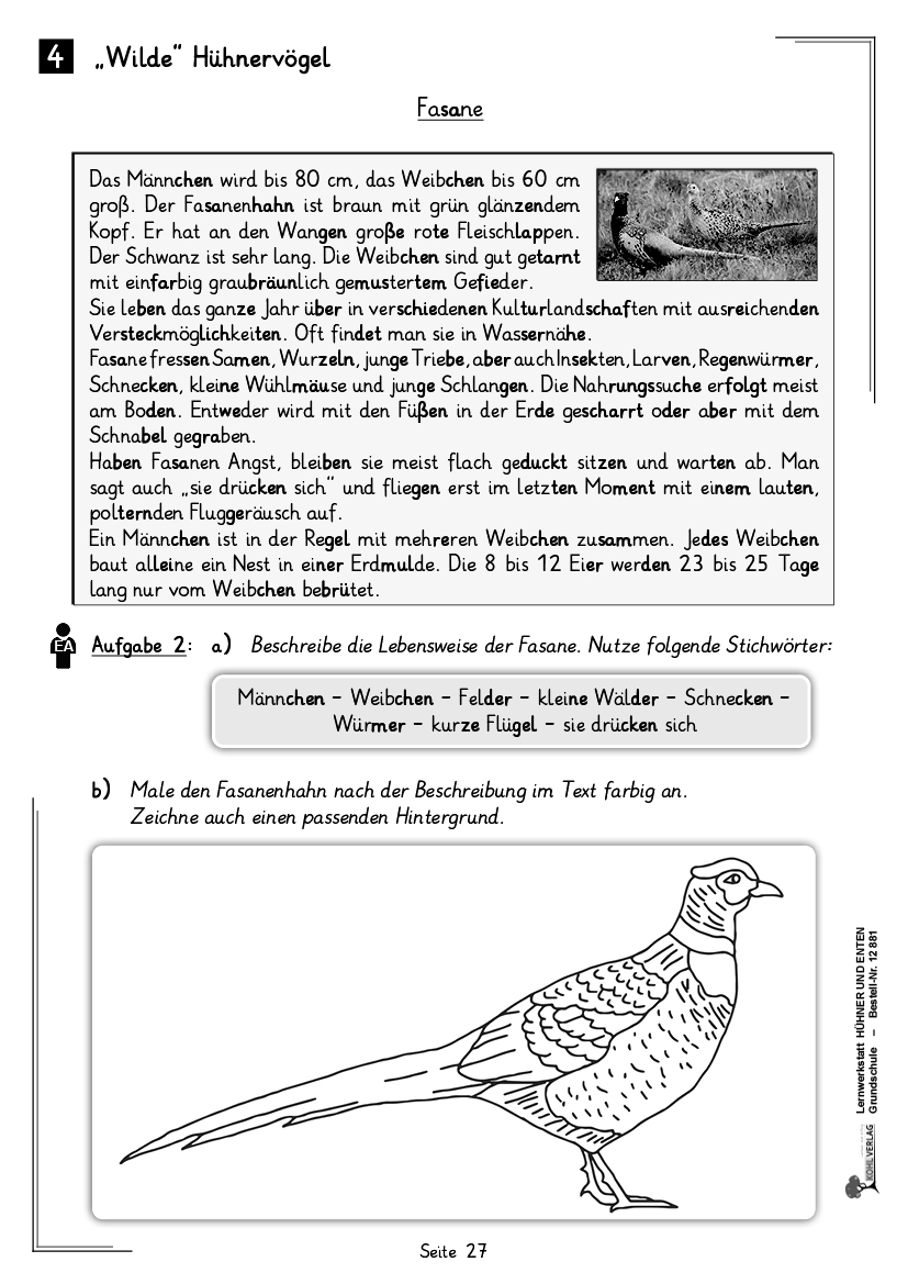 Lernwerkstatt Hühner & Enten / Grundschule