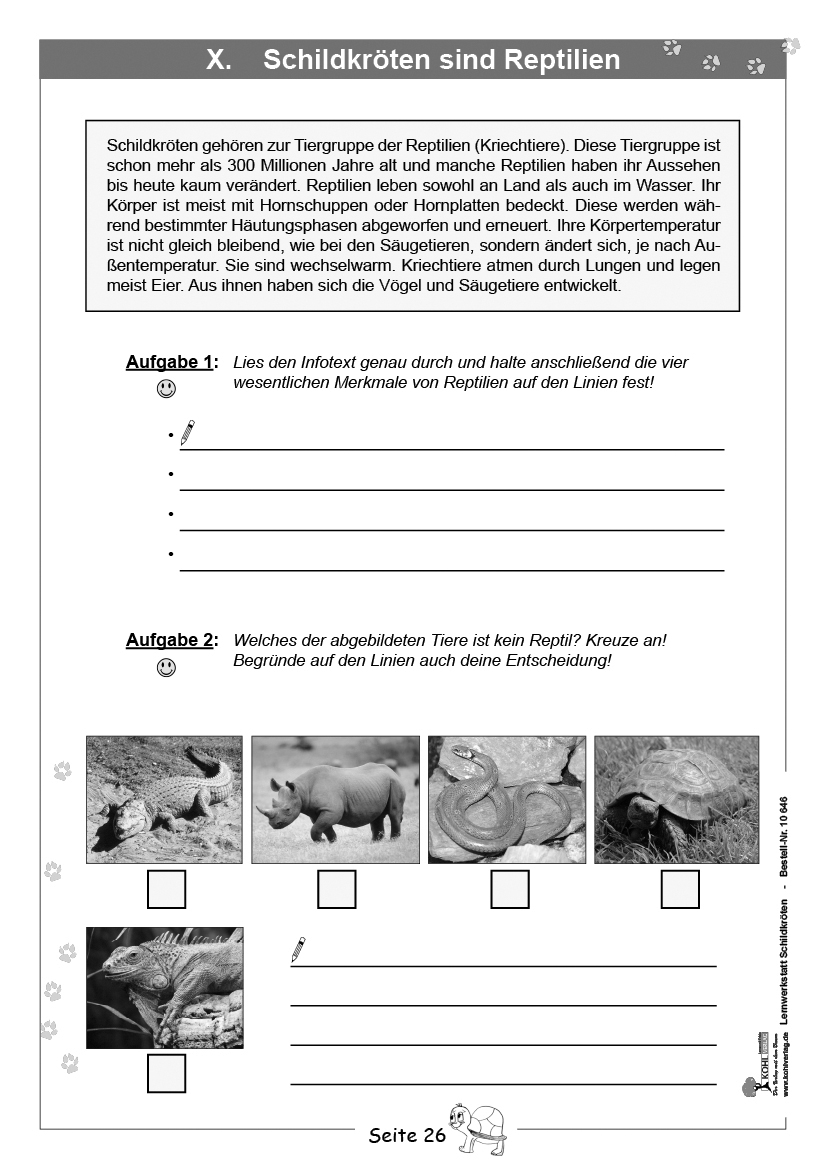 Lernwerkstatt Schildkröten