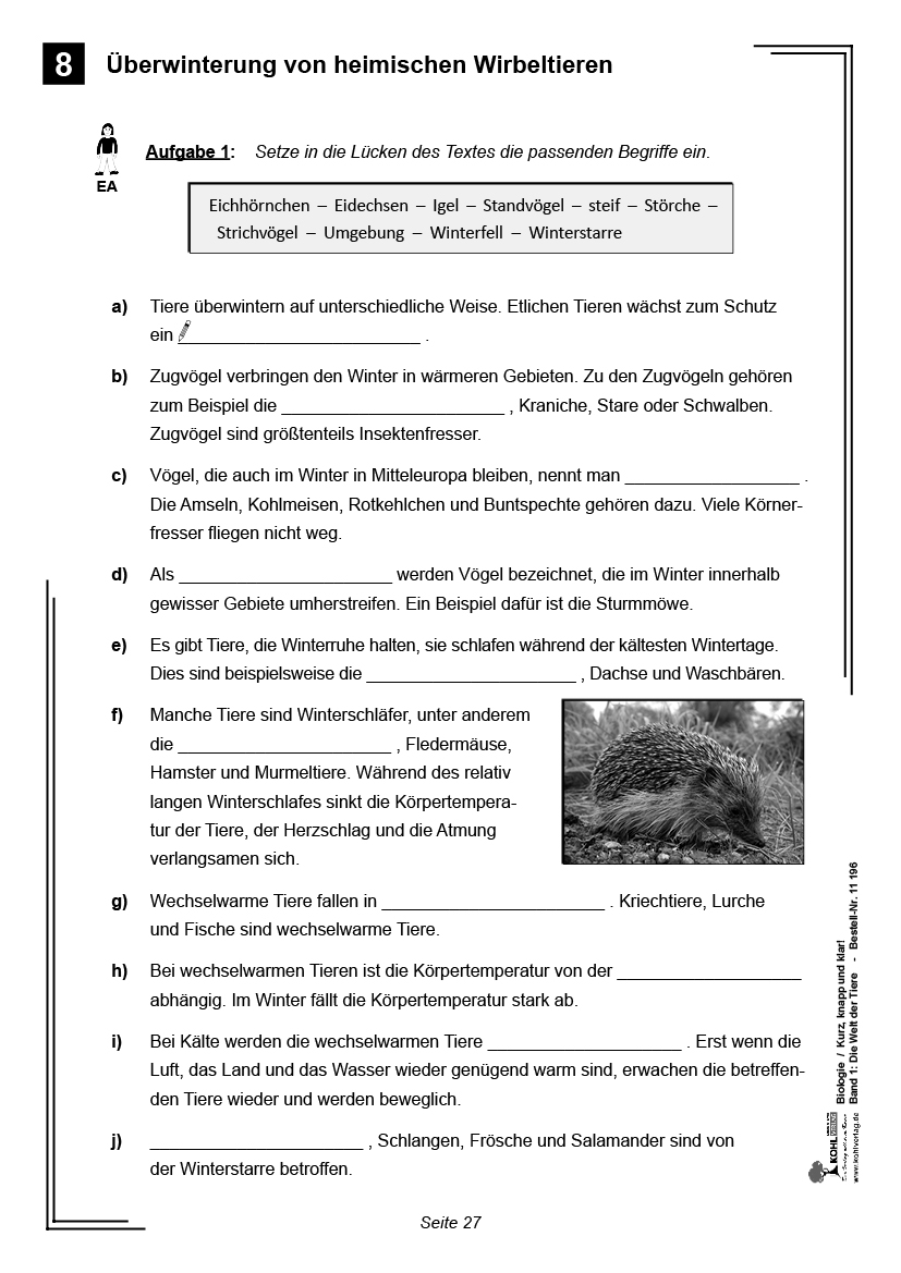 Biologie - Grundwissen kurz, knapp und klar I