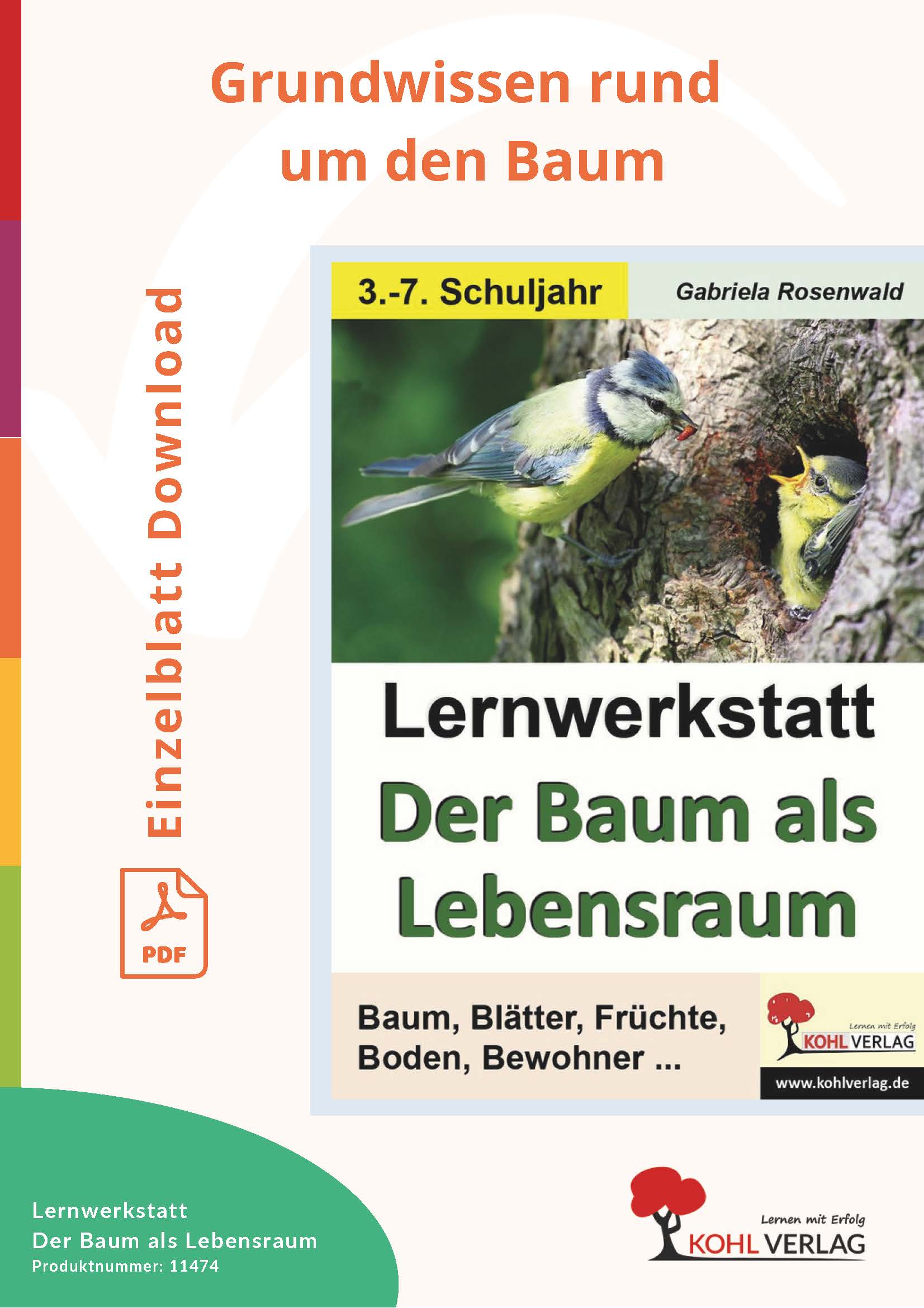 Lernwerkstatt: Grundwissen rund um den Baum