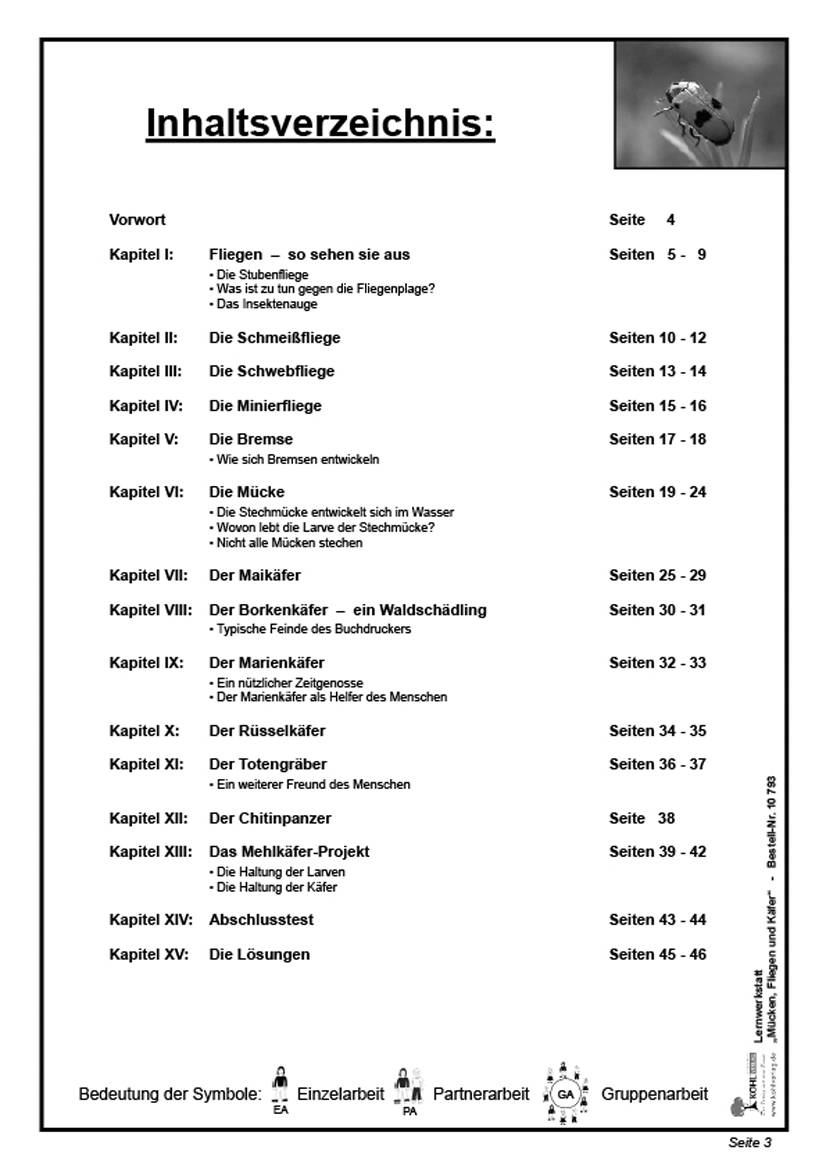 Lernwerkstatt Mücken, Fliegen und Käfer