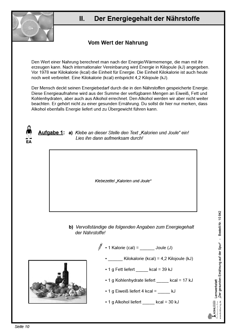 Lernwerkstatt Der gesunden Ernährung auf der Spur