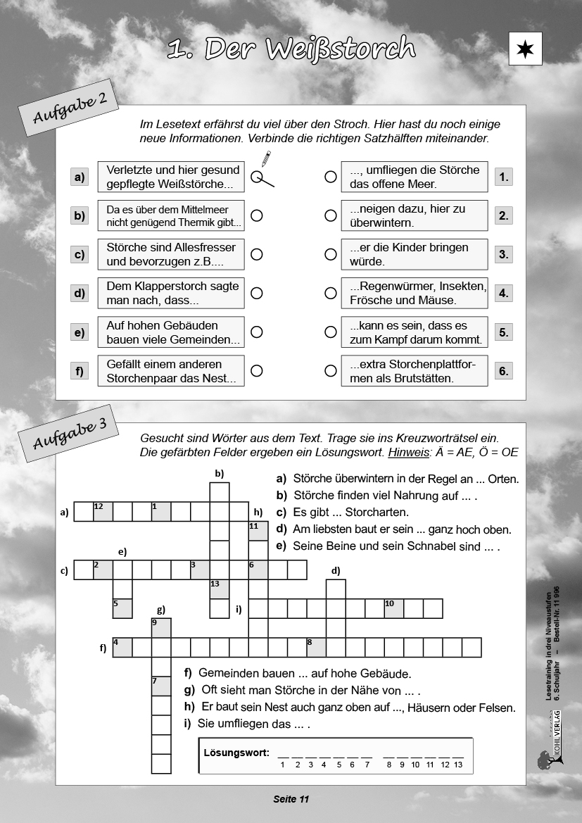 Lesetraining in drei Niveaustufen / Klasse 6