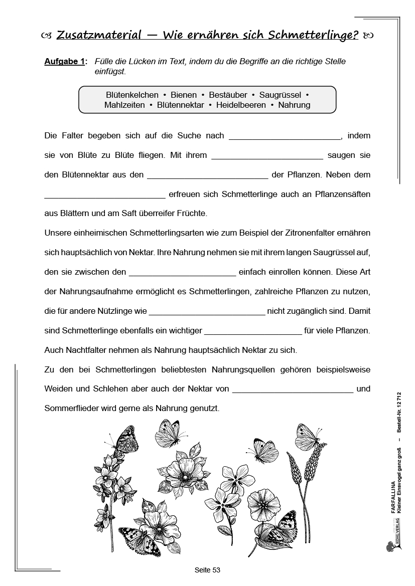 Farfallina - Kleiner Eisvogel ganz groß