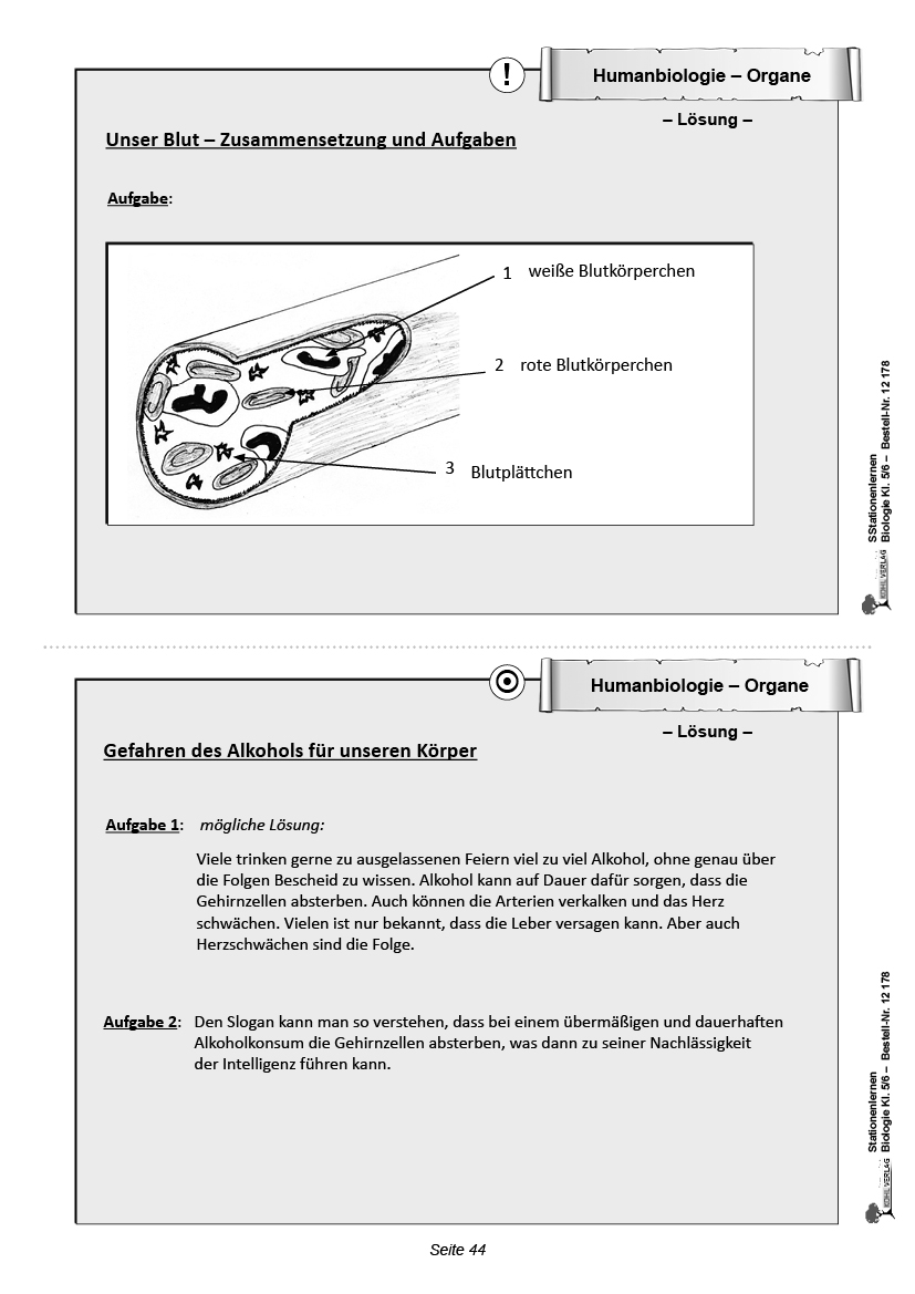 Stationenlernen Biologie 5/6