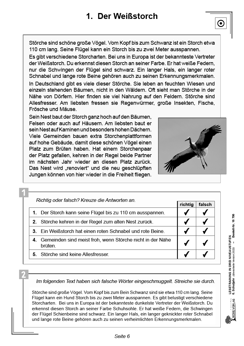 Lesetraining in drei Niveaustufen / Klasse 6