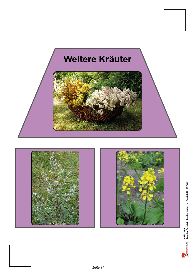 Kräuter Kräuter