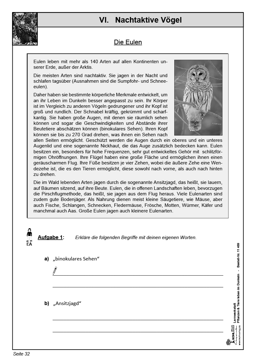 Lernwerkstatt Nachtaktive Pflanzen und Tiere Lernwerkstatt Nachtaktive Pflanzen und Tiere