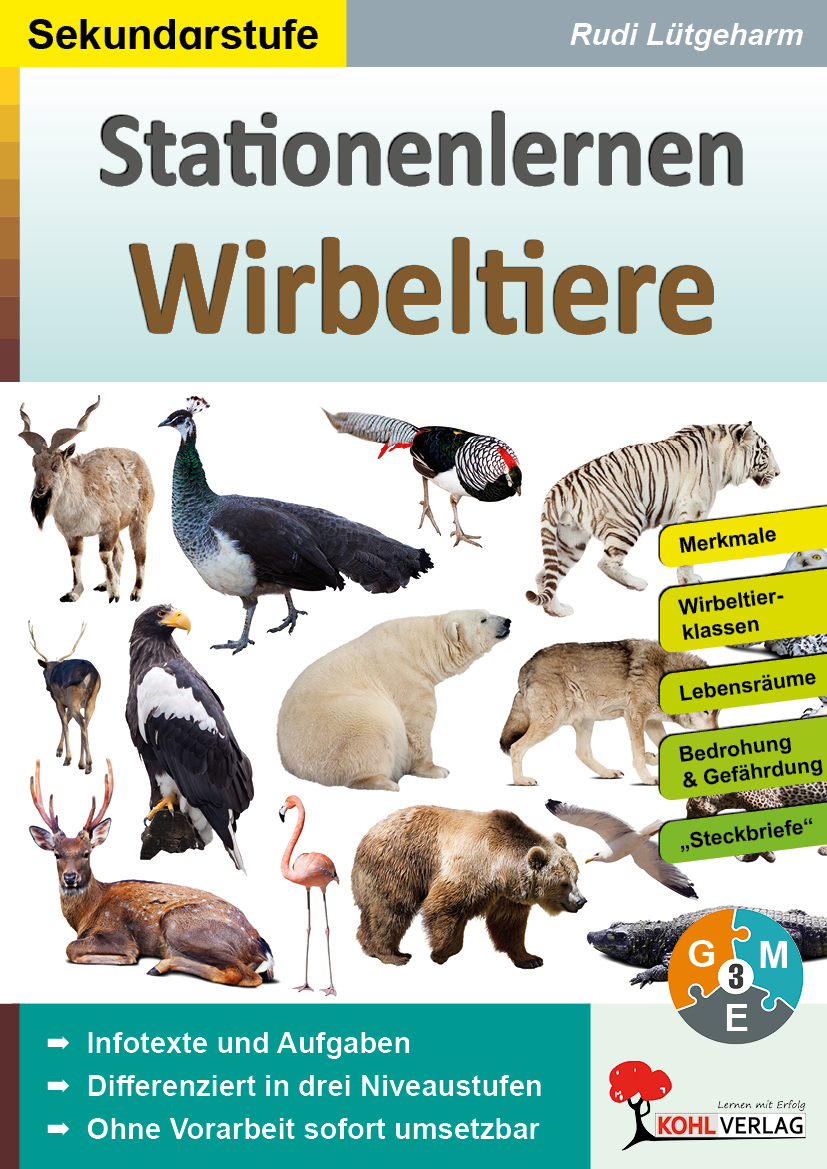 Stationenlernen Wirbeltiere Stationenlernen Wirbeltiere